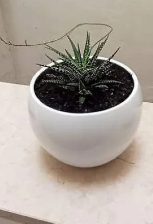 בית נופש La Chianca מונופולי